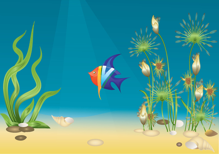 Underwater World Aquarium Fish bright a multicolored flowers seaweed shell stones art creative modern vector illustrationのイラスト素材