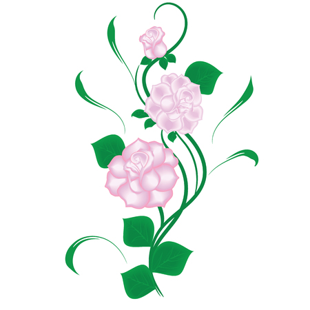 rose branch with leaves bud isolated on white background art creative vector element for designのイラスト素材