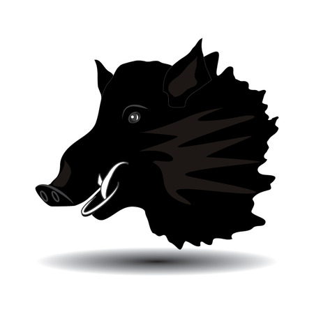Wild boar head close-up of black sketch isolated on white background, art creative modern vector illustration. Hunter's Bannerのイラスト素材