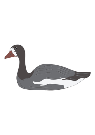 Goose wild isolated on white background art creative modern vector illustration Hunting logoのイラスト素材