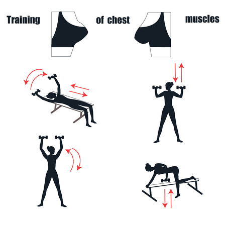 Sketch - Training of the muscles of the female breast - information poster - art creative modern vectorのイラスト素材
