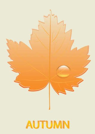 Autumn leaf transparent - drop of dew - light background - art creative vectorのイラスト素材