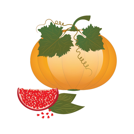 pumpkin yellow with leaves and a pomegranate slice with grains - isolated on white background - art creative vectorのイラスト素材