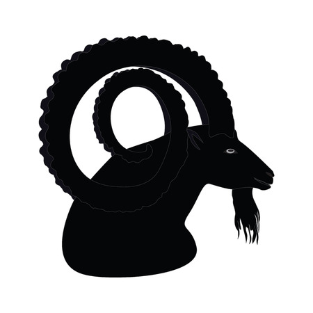 Mountain goat - sketch - head in profile with big horns - isolated on white background - art creative vectorのイラスト素材