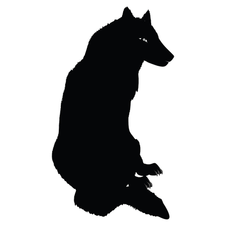 young wolf sitting - sitting in profile - isolated on white background -art creative vectorのイラスト素材