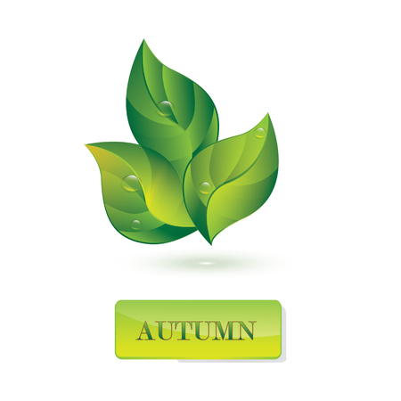 Leaves with drops of dew - inscription - Autumn - isolated on white background - art vectorのイラスト素材