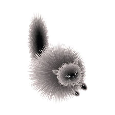 Kitten fluffy gray cute - isolated on white background - art creative vector illustrationのイラスト素材