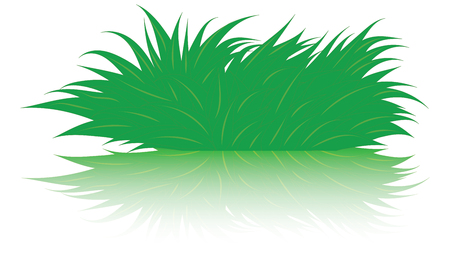 Bush of bright green herbal leaves with transparent reflection isolated on white background art vector design element.のイラスト素材