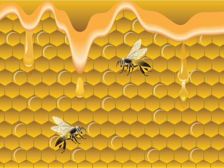 Honeycombs, dripping honey, bees - vector. Natural Products Conceptのイラスト素材