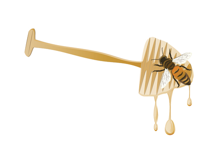 Honey spoon - flowing drops, bee - isolated on white background - vector. Natural product conceptのイラスト素材