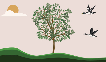 Tree with green leaves, sun, sky, clouds, birds flying - minimalism, flat style- illustration vectorのイラスト素材