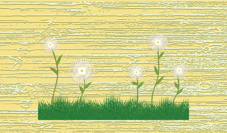 White camomiles on green grass - original abstract background - flat style - vectorのイラスト素材
