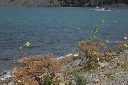 Black Sea Coastの写真素材