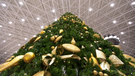 Immense Christmas Treeの写真素材