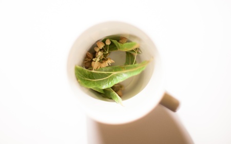 Linden blossom tea in a white cupの写真素材