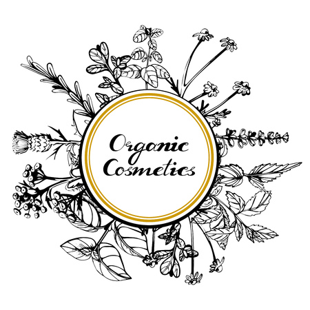 Vector illustration of herbal composition with round place for text with golden frame. Calligraphy label: Organic cosmetics.のイラスト素材