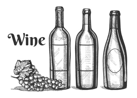 Vector illustration of a wine bottles and grapes bunch. Vintage engraving style.のイラスト素材