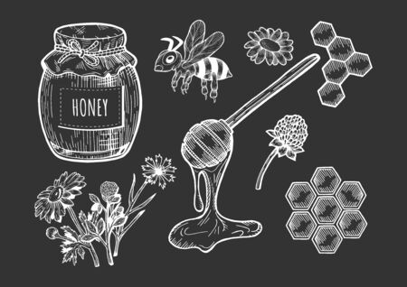 Vector illustration of a honey set. Jar with cloth and rope, bee, field flowers, spoon, honeycomb. Hand drawn doodle style.のイラスト素材