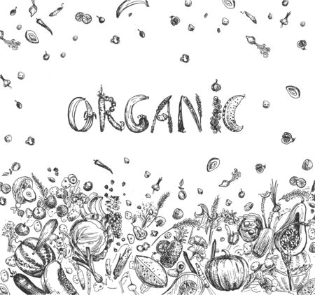 Vector illustration of healthy meal with lettering. Fruits and vegetables composition of word Organic. Vegetarian food poster. Vintage hand drawn style.のイラスト素材