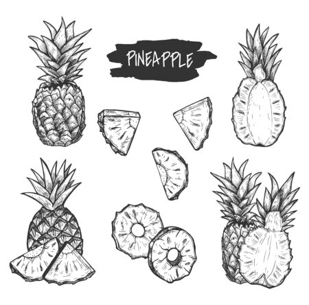 Vector illustration of detailed fresh raw exotic citrus fruit set. Tropical pineapple. Whole, cut, slice, composition, half, circles, parts. Vintage hand drawn style.のイラスト素材