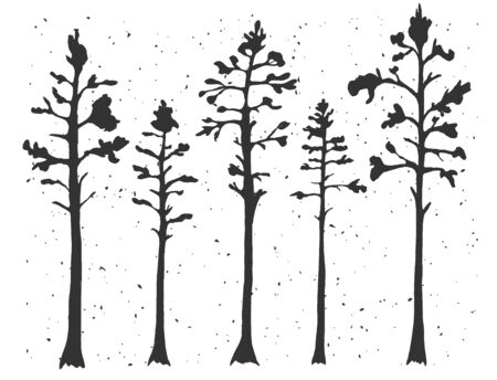Vector illustration of cypress evergreen set. Simple stencil forest pine trees, winter cedar forest wood nature, snowy weather. Vintage hand drawn style.のイラスト素材