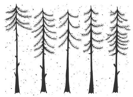 Vector illustration of cypress evergreen set. Simple stencil forest pine trees, winter cedar forest wood nature, snowy weather. Vintage hand drawn style.のイラスト素材