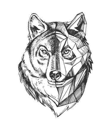 Vector hand drawn illustration of wolf howling in vintage engraved style. Animal portrait isolated on white background.のイラスト素材