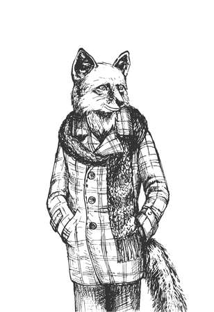 Vector hand drawn illustration of mister fox man character wearing warm fashion autumn clothes as tweed coat and scarf in vintage engraved style. Animal portrait isolated on white background.のイラスト素材