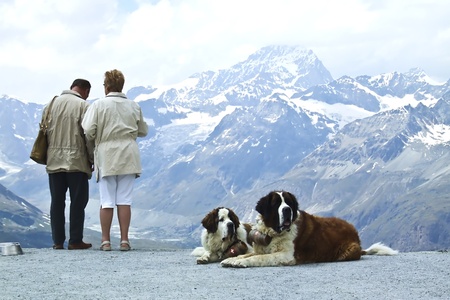 Two pairs of lover at Matterhorn, Switzerland.の写真素材