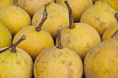 Santol fruit the wild mangosteenの写真素材