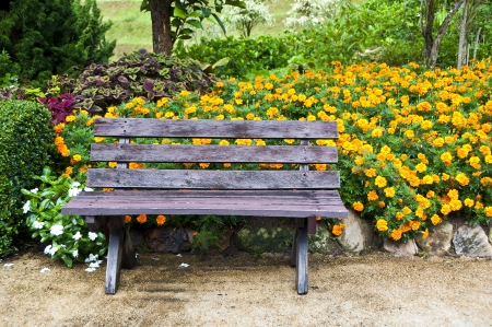 Bench in the garden の写真素材