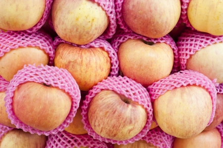 Fresh apple の写真素材