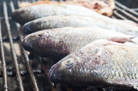 Grilled Tubtim fish の写真素材