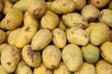 Mangoes 