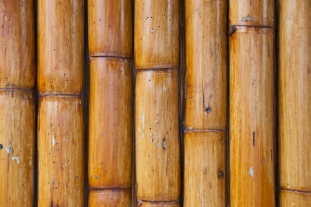 Bamboo wall の写真素材