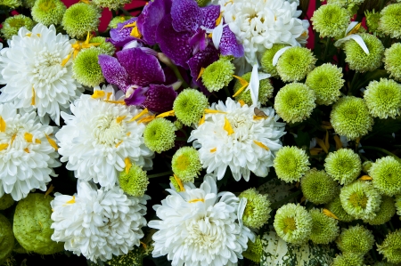 Colorful flower bouquet close up の写真素材