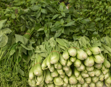 Various fresh vegetables in market.の写真素材