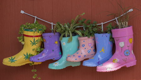 Colorful rubber boot decoration on wooden wall as plant jardiniere.の写真素材