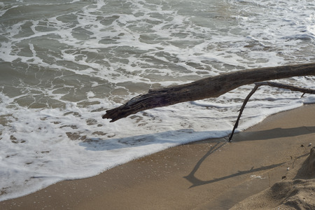 Sea wave on the beach.の写真素材