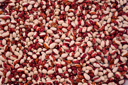 Texture of two-color beans.の写真素材