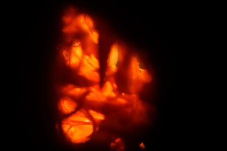 Texture with blur. Outgrowths of the orange. An abstract pattern. Dark background. Backlighting. The middle of the pumpkin.の写真素材