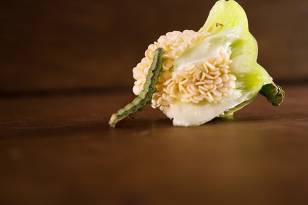 The green caterpillar eats the rest of the pepper.  Insect pest. Wooden background.の写真素材
