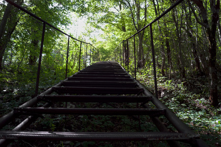Metal ladder on the side of a mountain. Green trees in the summer forest. Long climb in the mountains.の写真素材