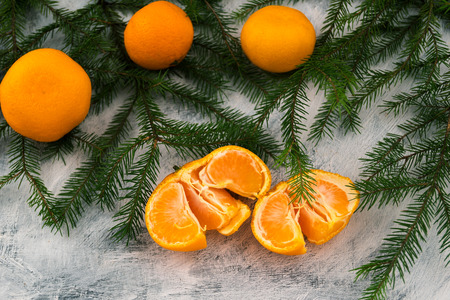 Orange tangerines on the green branches of spruce. Light background. New Year's plot. Template for Christmas greetings.の写真素材