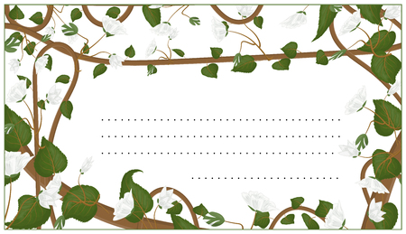 Invitation, card with a botanical ornament of green leaves, white flowers and stems of the plant Actinidia Kolomikta.のイラスト素材