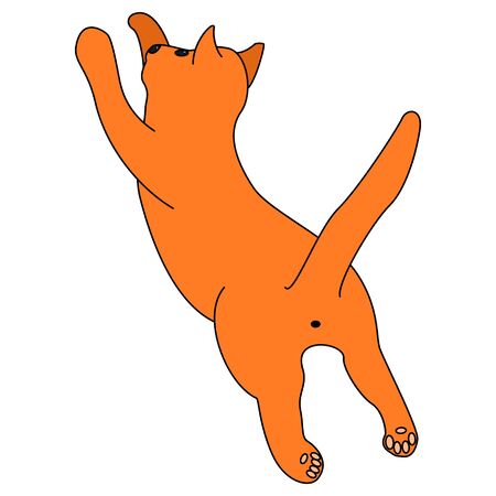 Ginger cat jumps. Vector image of a cat playing. Pet cat paws stretched out for the game. Isolated on white background.のイラスト素材