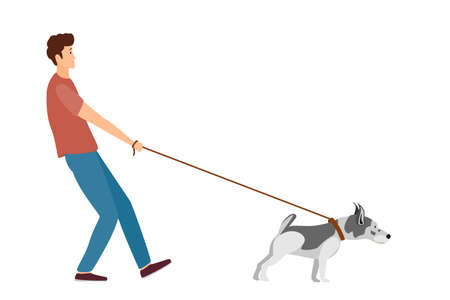 A dog on a leash pulls a young man. Walking the dogs. Pet training. Vector in a flat style isolated on white.のイラスト素材