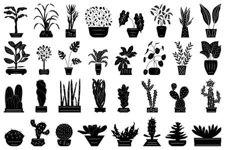 Various home plants in flower pots. Set of vector icons isolated on white, silhouette style. Cacti, succulents, deciduous plants for home and office.のイラスト素材