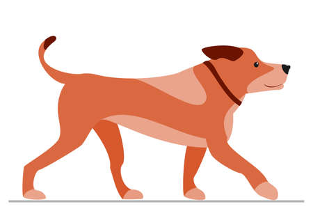 Brown dog with stains. Homemade pet with collar. Vector, isolated on white, style flat.のイラスト素材