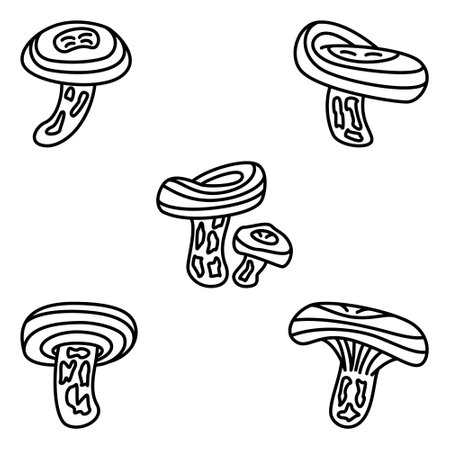 Coral milky cap. Edible forest mushroom. Set of vector icons, outline, isolatedのイラスト素材